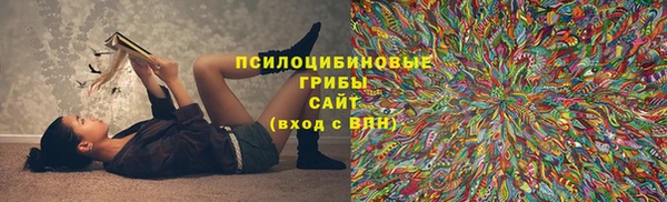 прущая мука Заводоуковск