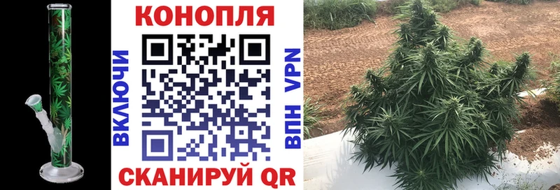 Купить  Соликамск  Марихуана LSD WEED 